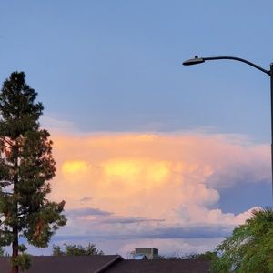 Meet your Posher, Jaime